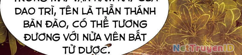 Bắt Đầu Với Chí Tôn Đan Điền Chapter 65 - 6