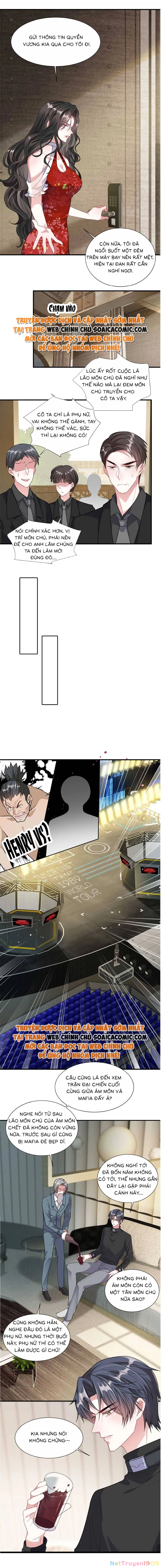 Vợ Tôi Là Boss Ngầm Đầy Quyền Lực Chapter 11 - 3