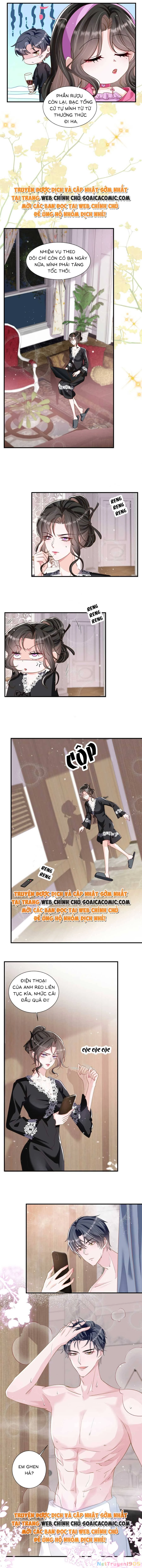 Vợ Tôi Là Boss Ngầm Đầy Quyền Lực Chapter 13 - 2