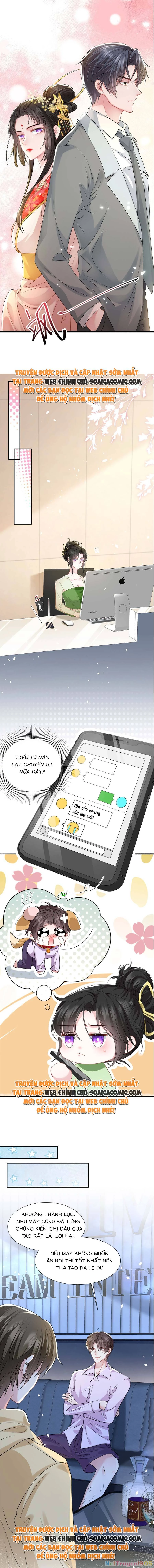 Vợ Tôi Là Boss Ngầm Đầy Quyền Lực Chapter 20 - 3