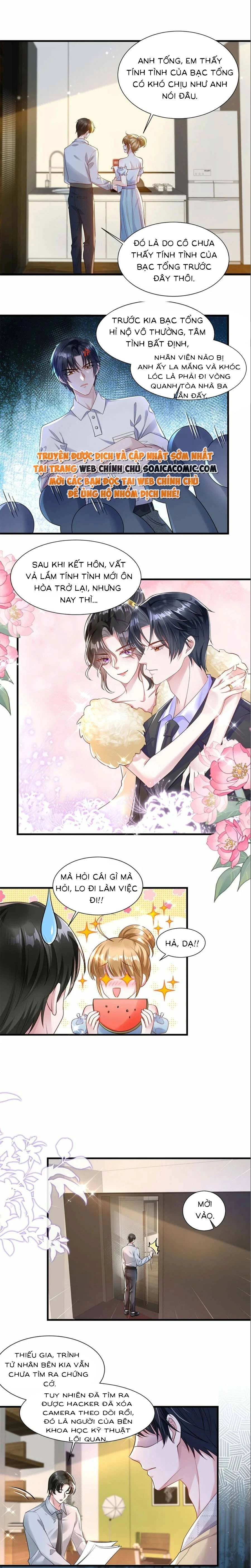 Vợ Tôi Là Boss Ngầm Đầy Quyền Lực Chapter 23 - 7