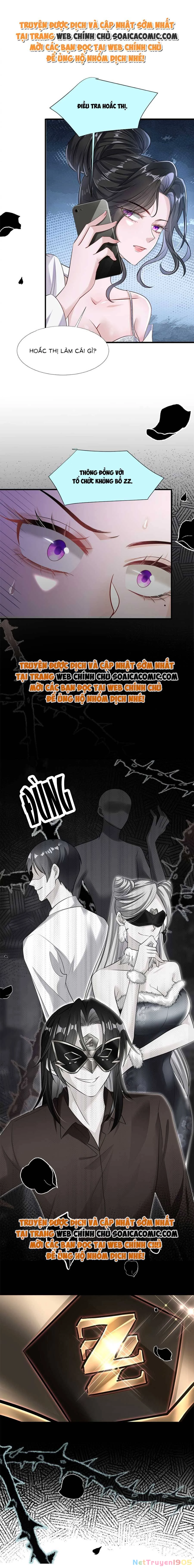 Vợ Tôi Là Boss Ngầm Đầy Quyền Lực Chapter 26 - 5