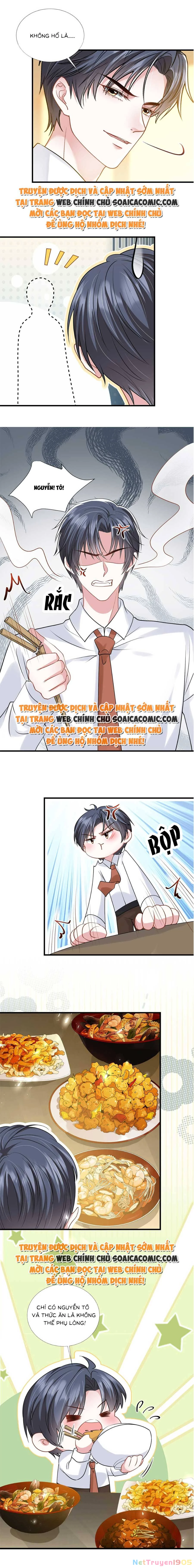 Vợ Tôi Là Boss Ngầm Đầy Quyền Lực Chapter 28 - 8