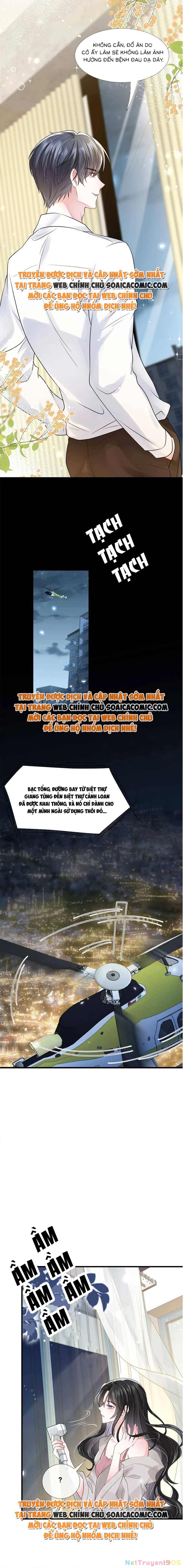 Vợ Tôi Là Boss Ngầm Đầy Quyền Lực Chapter 28 - 10