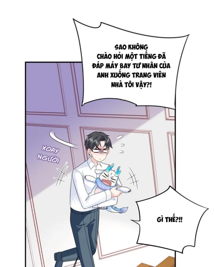 Bé Rồng Đột Kích! Mami Vừa Cay Vừa Độc Chapter 47 - 35