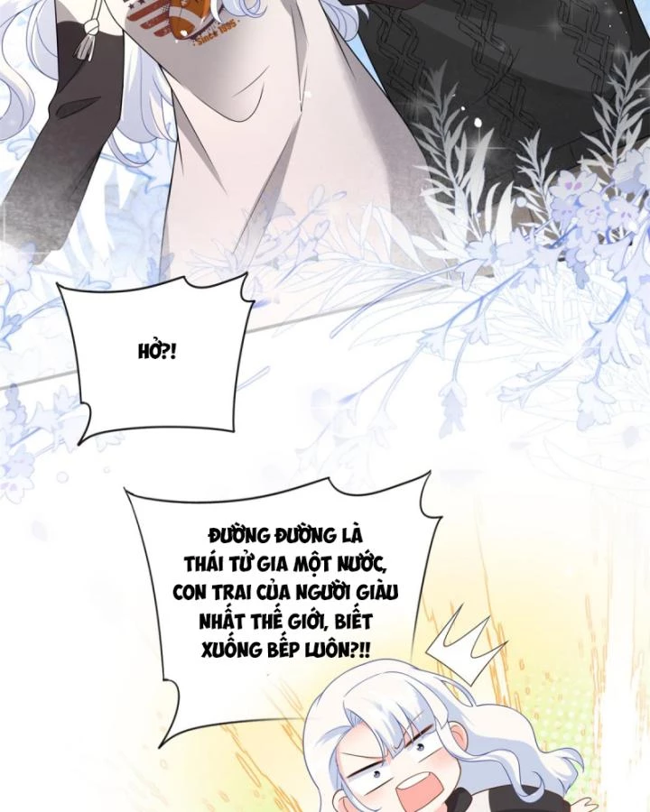 Bé Rồng Đột Kích! Mami Vừa Cay Vừa Độc Chapter 48 - 23