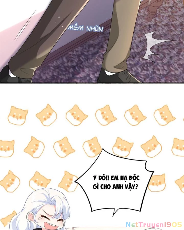 Bé Rồng Đột Kích! Mami Vừa Cay Vừa Độc Chapter 49 - 19