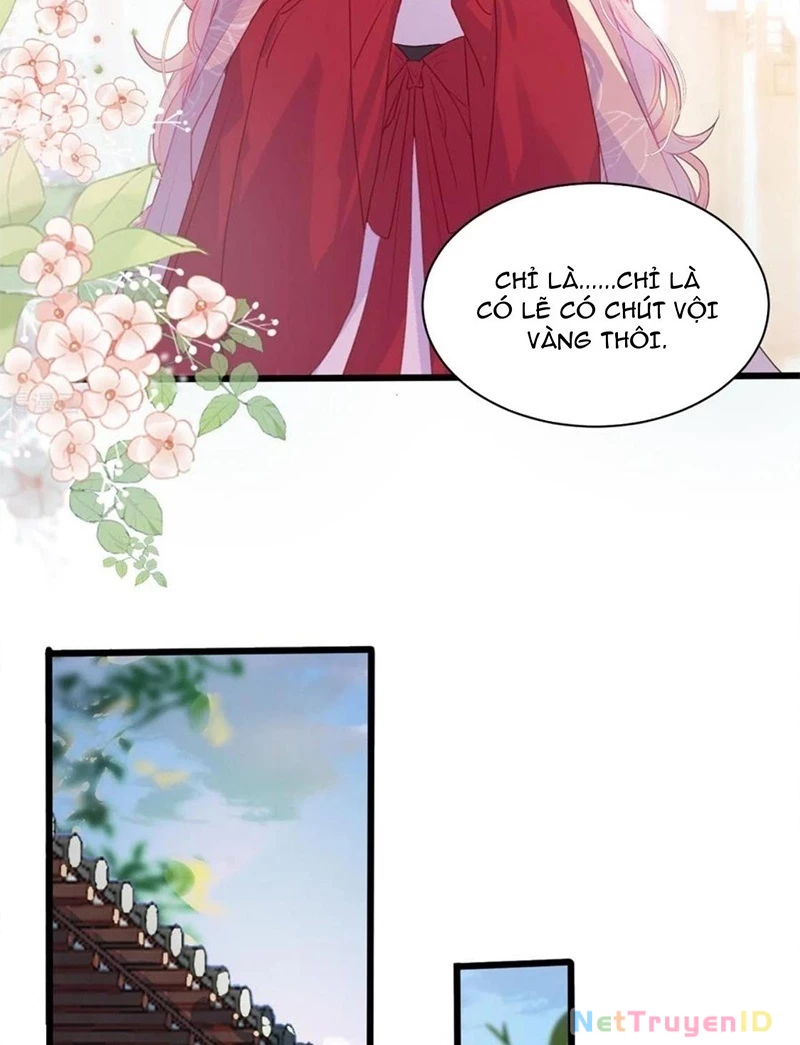 Sau Khi Công Chúa Bội Tình Bạc Nghĩa Chapter 14 - 32