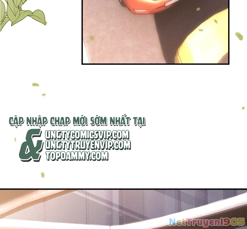 Chấp Sự Thỏ Cụp Tai Chapter 79 - 51