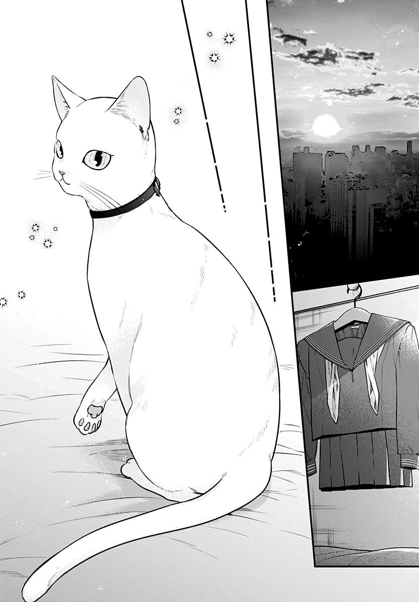 Mi-Chan Wa Kawaretai Chapter 8 - 29