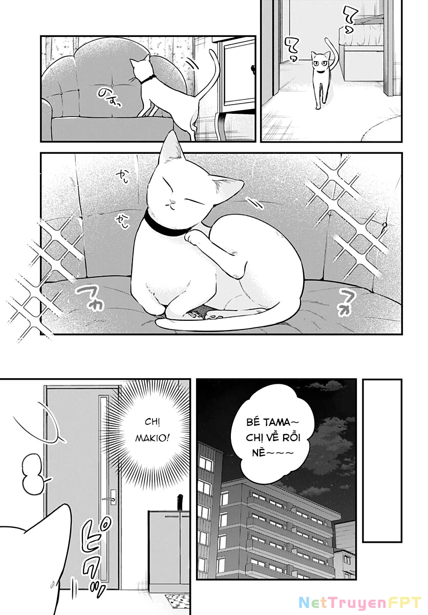 Mi-Chan Wa Kawaretai Chapter 8 - 30