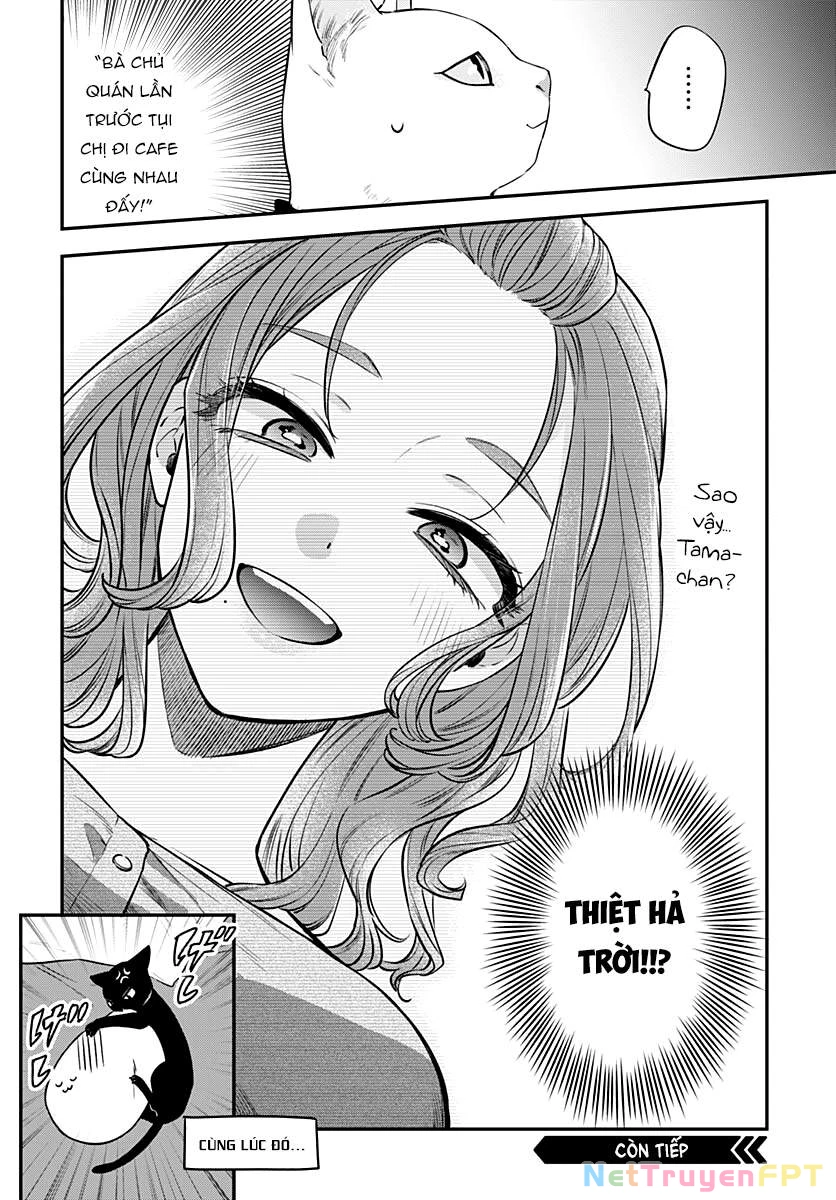 Mi-Chan Wa Kawaretai Chapter 8 - 33