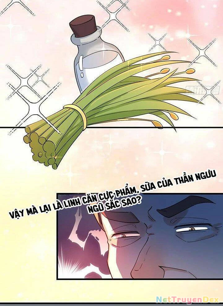 Nguyên Lai Ta Là Tu Tiên Đại Lão Chapter 278 - 57