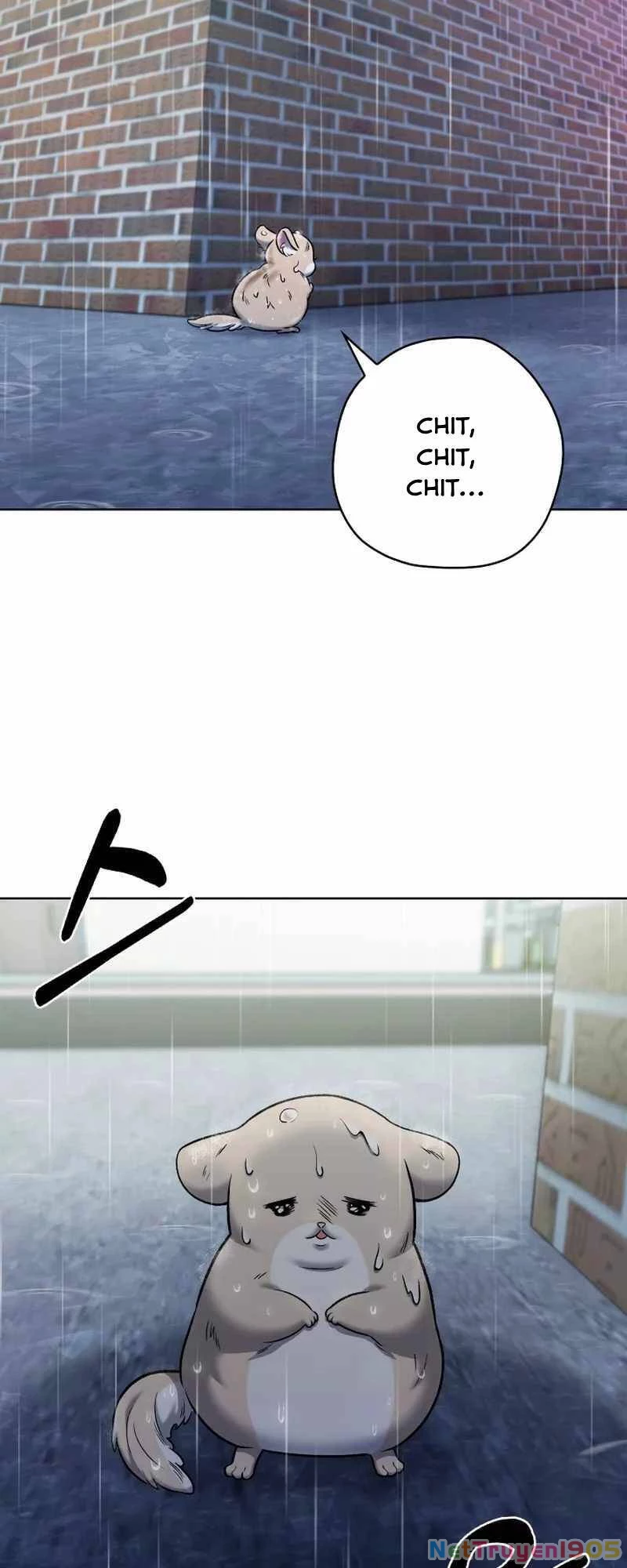 Shipper Đến Từ Murim Chapter 11 - 75