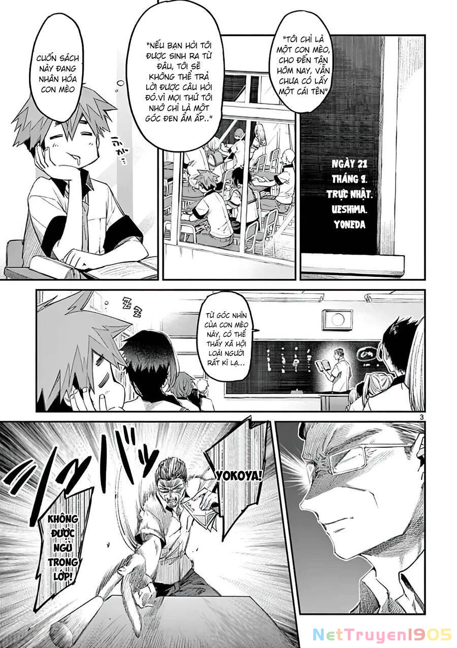 Kimi Wa Meido-Sama Chapter 11 - 5
