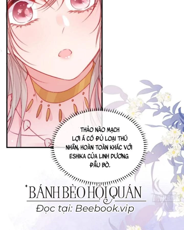 Thú Thế Ngọt Sủng, Tôi Ở Dị Giới Làm Vũ Thần Chapter 41 - 48