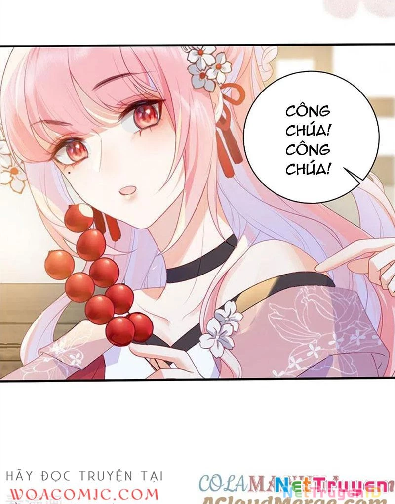 Sau Khi Công Chúa Bội Tình Bạc Nghĩa Chapter 20 - 6