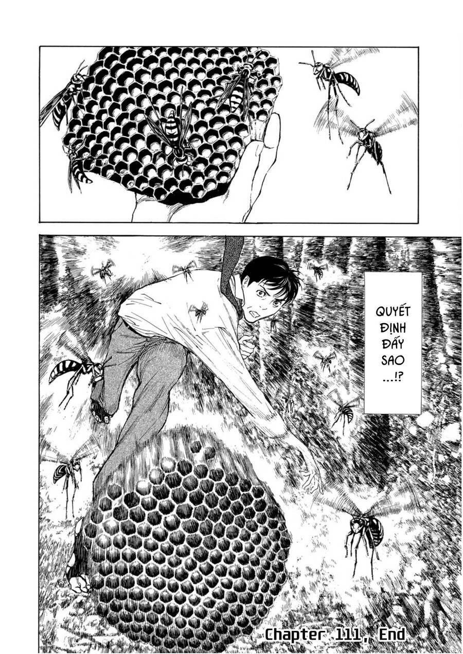 My Home Hero Chapter 111 - 21