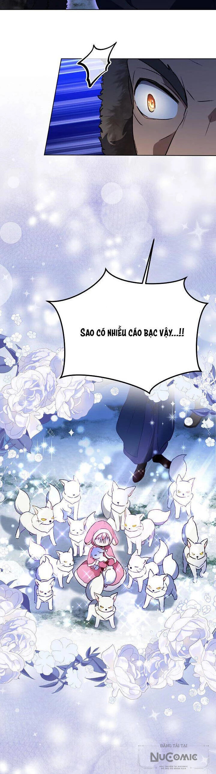 Tôi Đã Tái Sinh Thành Bé Cáo Của Thần Chapter 52 - 6