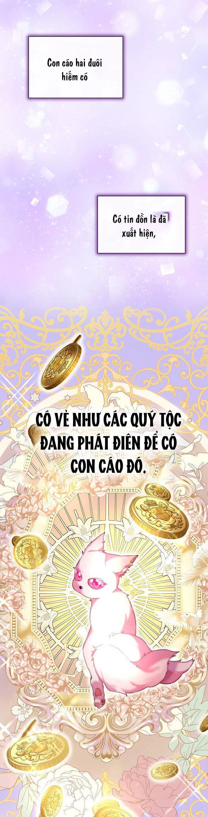 Tôi Đã Tái Sinh Thành Bé Cáo Của Thần Chapter 52 - 24