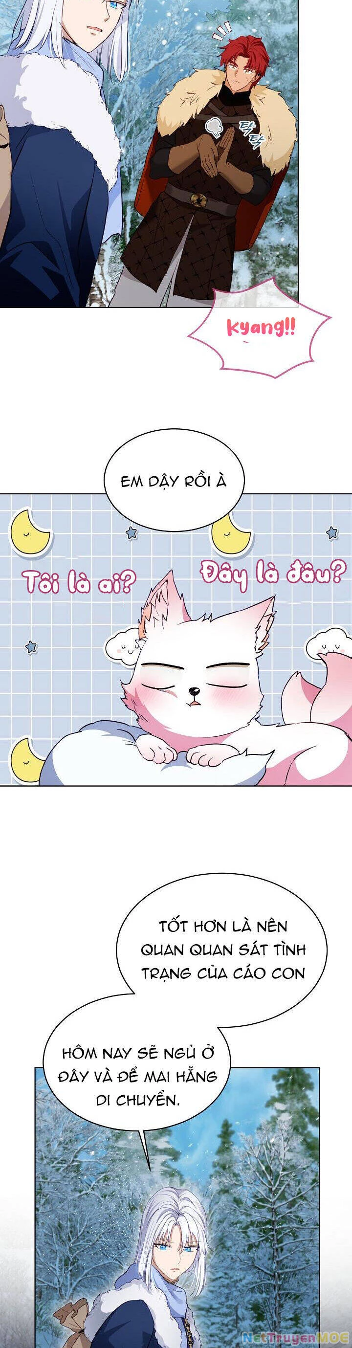Tôi Đã Tái Sinh Thành Bé Cáo Của Thần Chapter 52 - 29