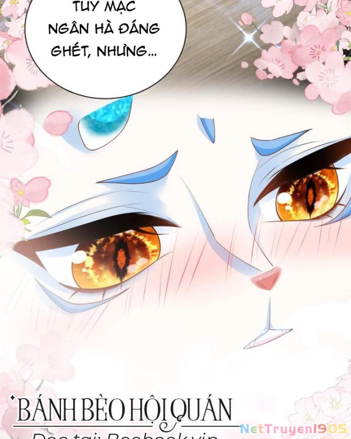 Bé Rồng Đột Kích! Mami Vừa Cay Vừa Độc Chapter 60 - 74