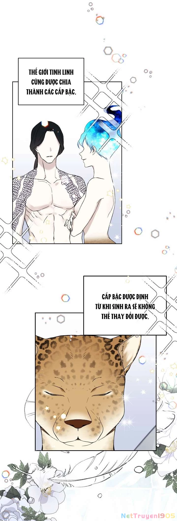Vương Miện Viridescent Chapter 17 - 5