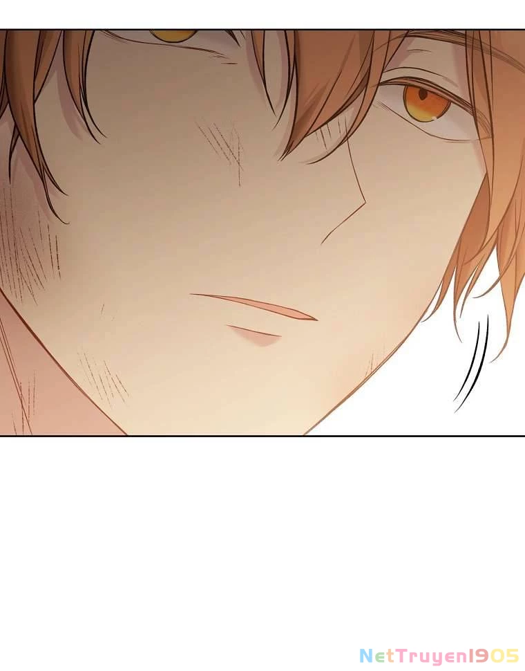 Vương Miện Viridescent Chapter 56 - 18