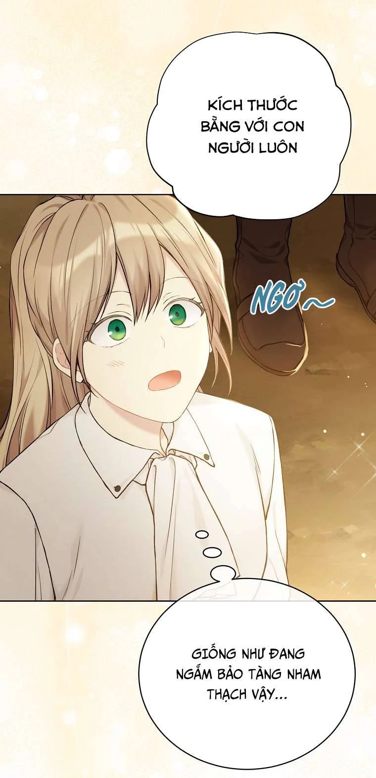 Vương Miện Viridescent Chapter 70 - 64