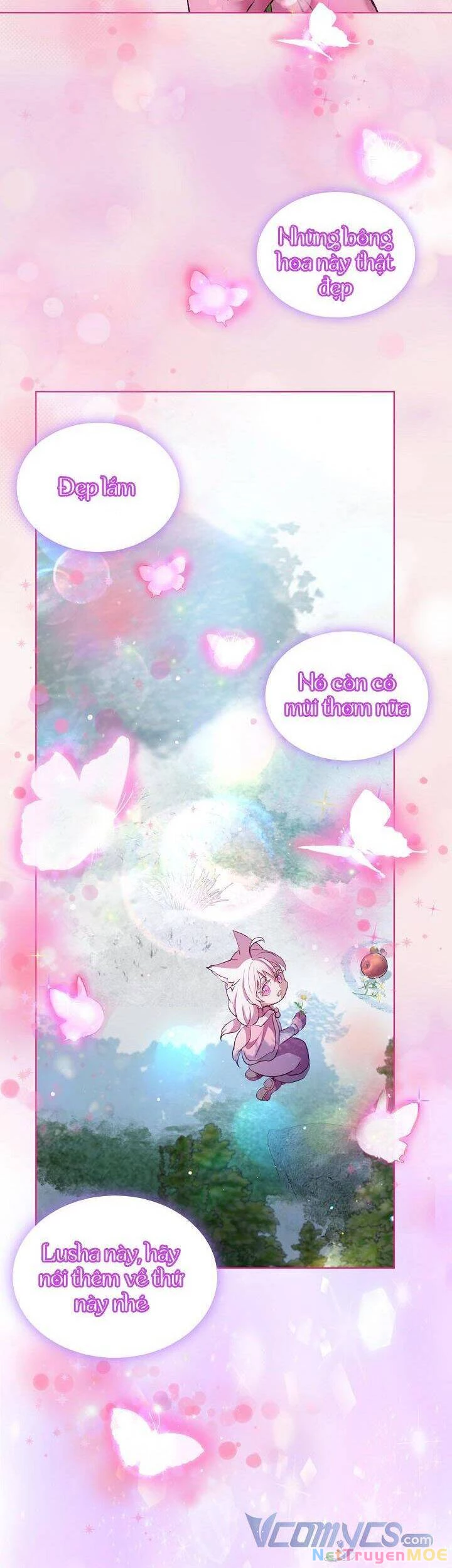 Tôi Đã Tái Sinh Thành Bé Cáo Của Thần Chapter 53 - 26