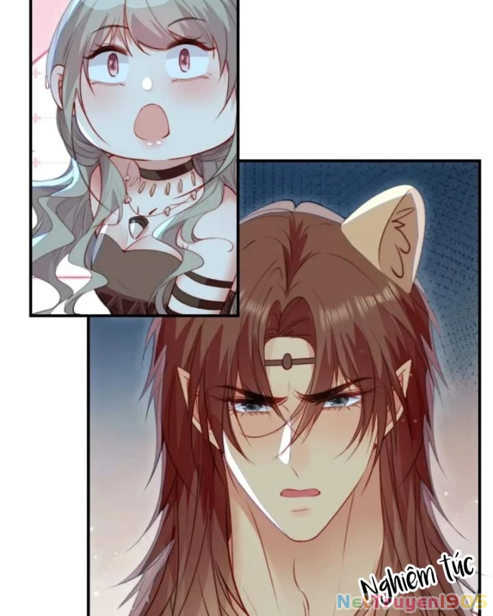 Thú Thế Ngọt Sủng, Tôi Ở Dị Giới Làm Vũ Thần Chapter 54 - 7