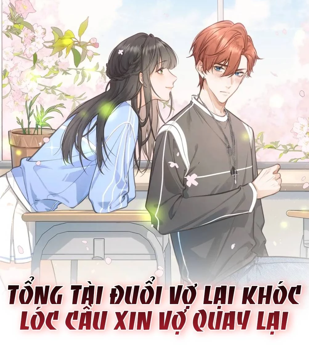 Tổng Tài Đuổi Vợ Lại Khóc Lóc Cầu Xin Vợ Quay Lại Chapter 1 - 2