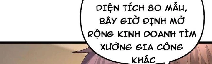 Trùng Sinh Trở Lại 1983 Làm Phú Hào Chapter 289 - 33