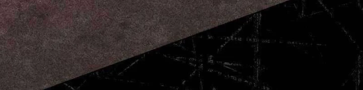 Sát Thủ Tái Sinh Thành Một Kiếm Sĩ Thiên Tài Chapter 31 - 111