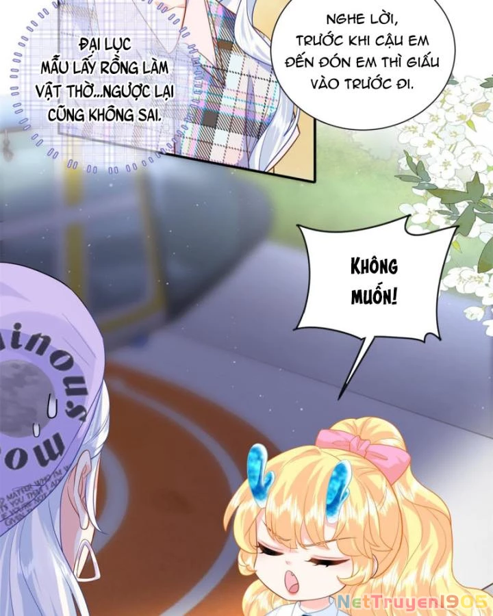 Bé Rồng Đột Kích! Mami Vừa Cay Vừa Độc Chapter 64 - 7