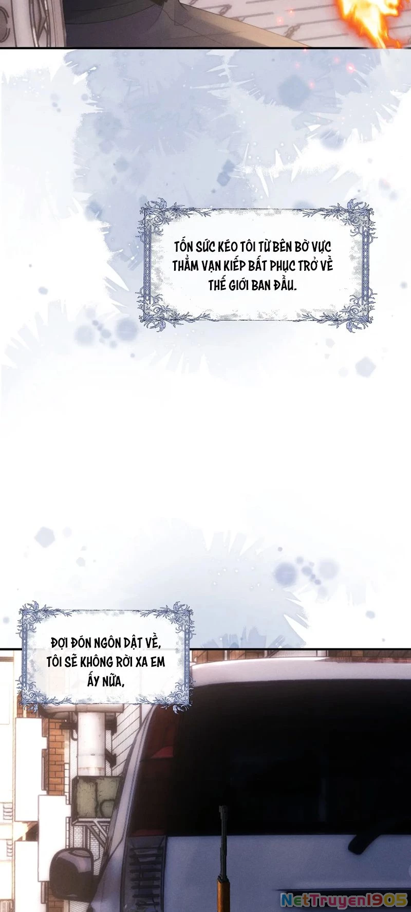 Chấp Sự Thỏ Cụp Tai Chapter 86 - 14