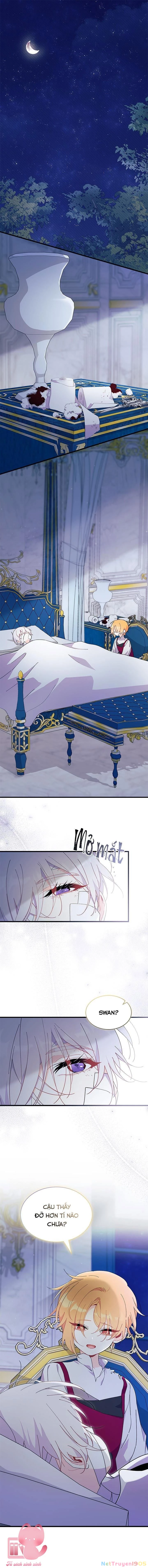 Tôi Không Muốn Làm Người Mai Mối Chapter 48 - 3