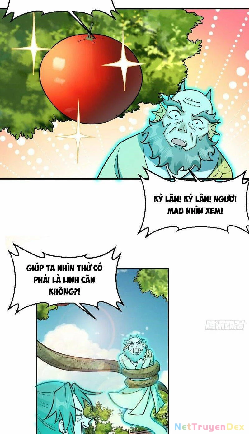 Nguyên Lai Ta Là Tu Tiên Đại Lão Chapter 313 - 11