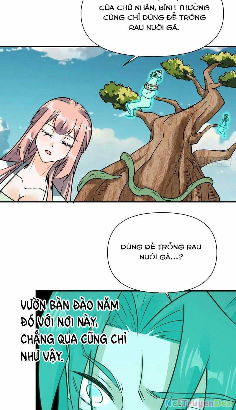 Nguyên Lai Ta Là Tu Tiên Đại Lão Chapter 313 - 13