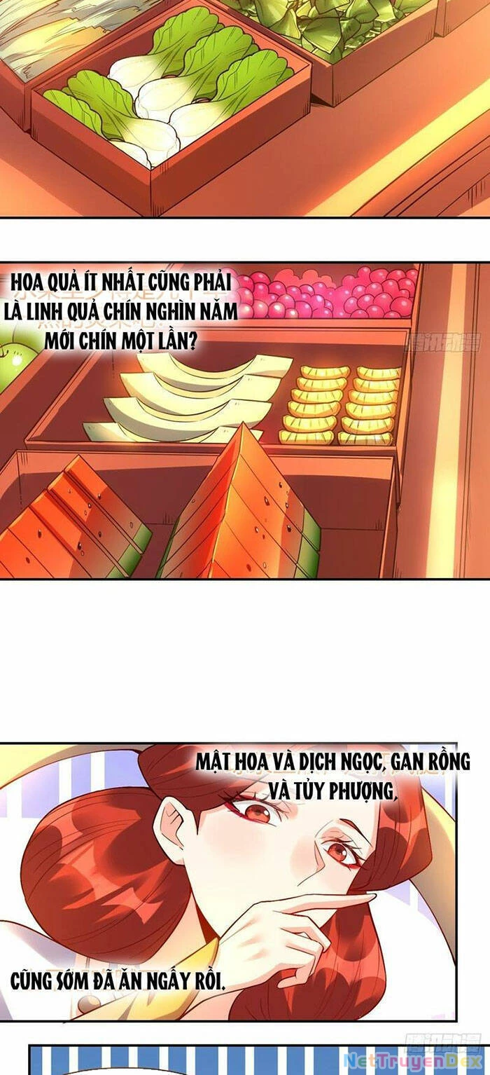 Nguyên Lai Ta Là Tu Tiên Đại Lão Chapter 315 - 18