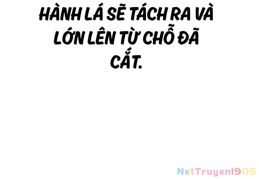 Làm Nông Dân Trong Tòa Tháp Thử Thách Chapter 41 - 90