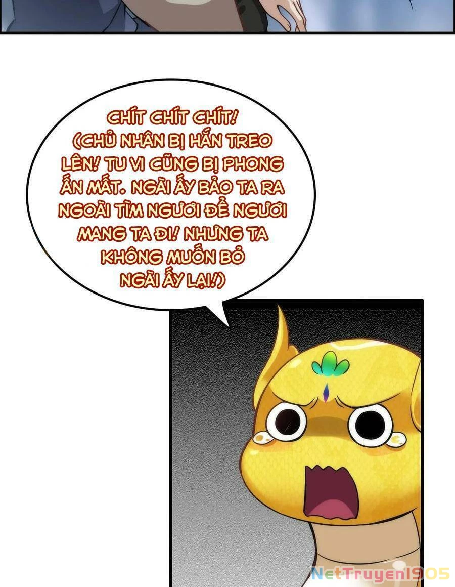 Tu Tiên Chính Là Như Vậy Chapter 47 - 70