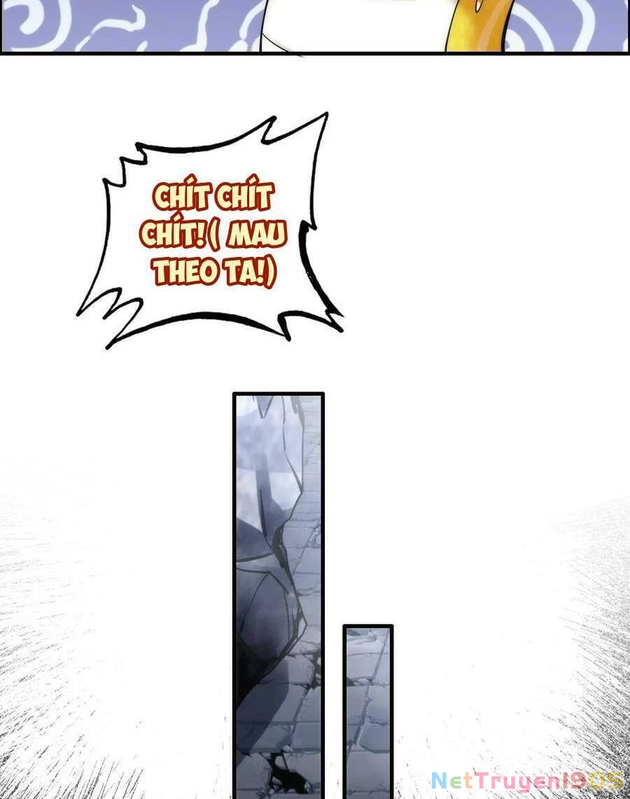 Tu Tiên Chính Là Như Vậy Chapter 47 - 74