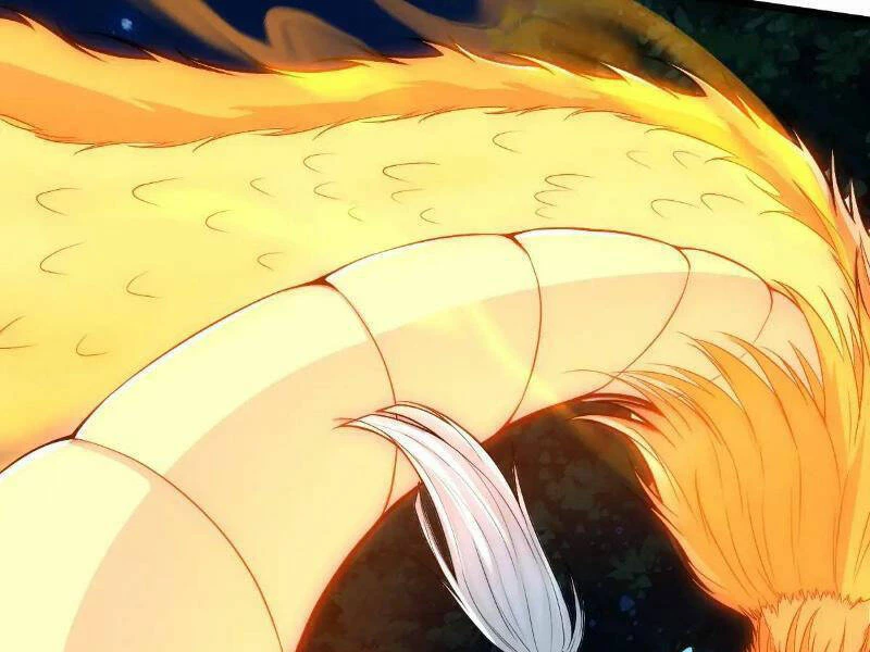 Thái Cổ Yêu Thánh Lấy Ta Làm Lô Đỉnh Chapter 24 - 82