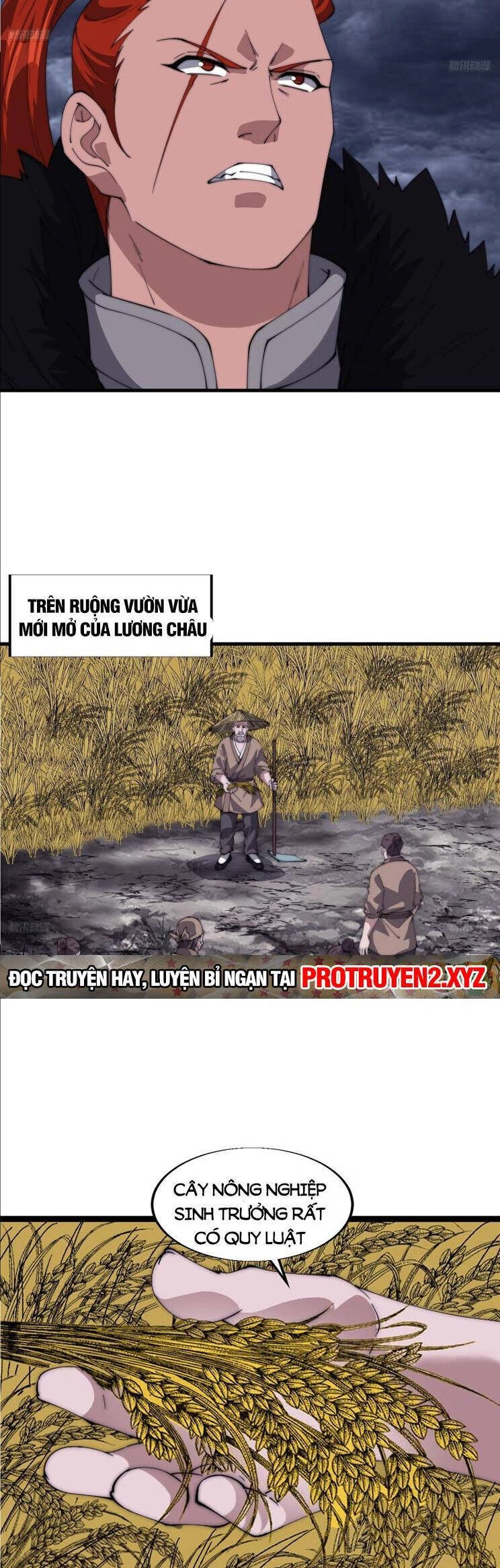 Ta Có Một Sơn Trại Chapter 801 - 6