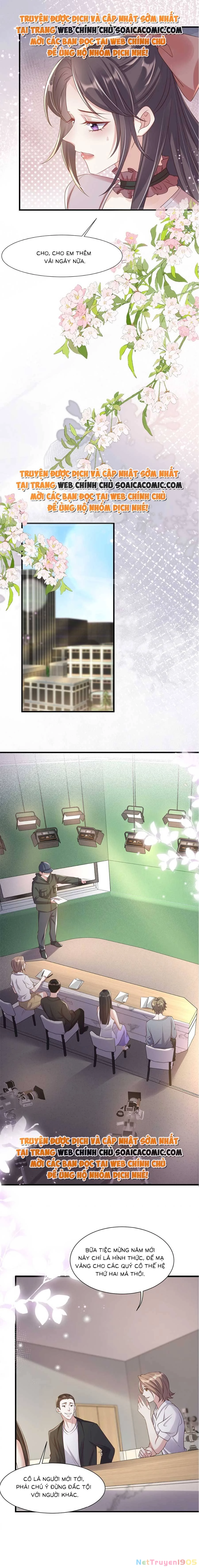 Vợ Tôi Là Boss Ngầm Đầy Quyền Lực Chapter 33 - 8