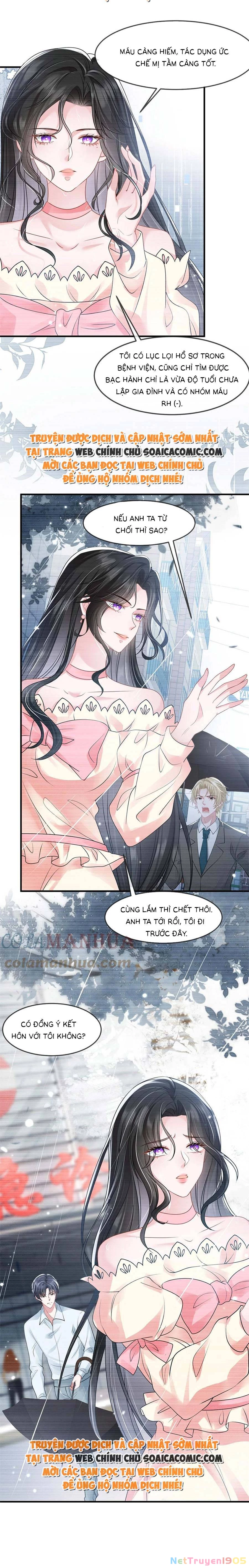 Vợ Tôi Là Boss Ngầm Đầy Quyền Lực Chapter 39 - 3