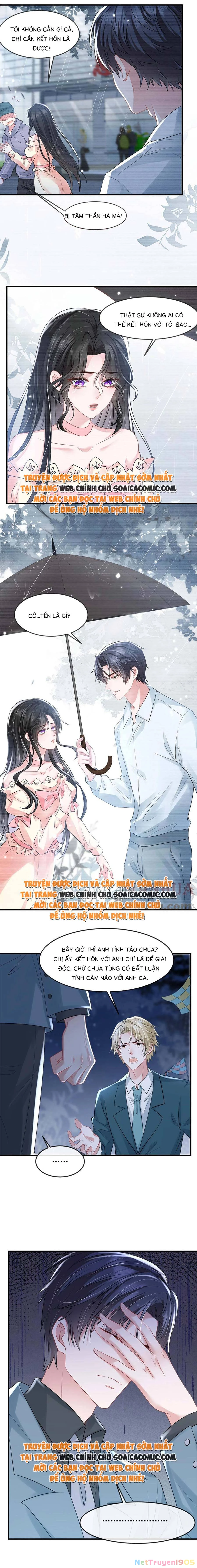 Vợ Tôi Là Boss Ngầm Đầy Quyền Lực Chapter 39 - 4