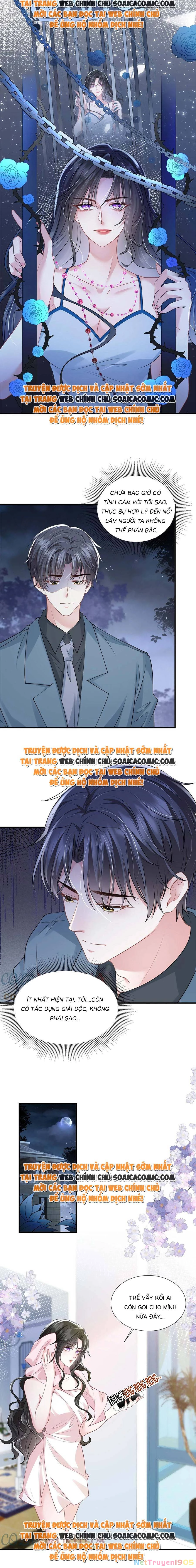 Vợ Tôi Là Boss Ngầm Đầy Quyền Lực Chapter 39 - 6