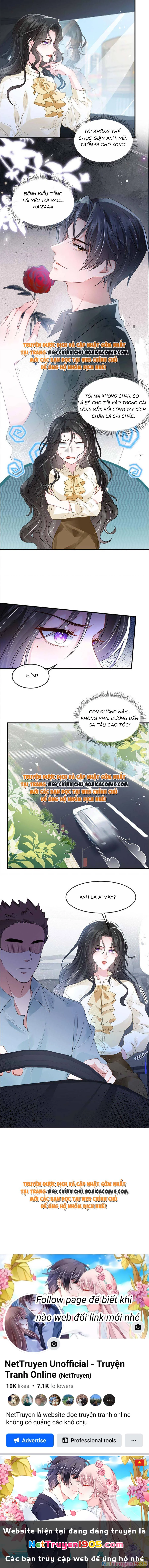 Vợ Tôi Là Boss Ngầm Đầy Quyền Lực Chapter 40 - 6